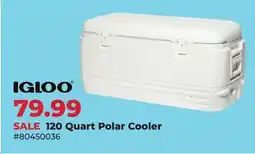 Runnings IGLOO 120 Quart Polar Cooler offer