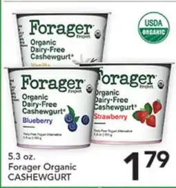 Pete's Fresh Market Forager Organic CASHEWGURT offer