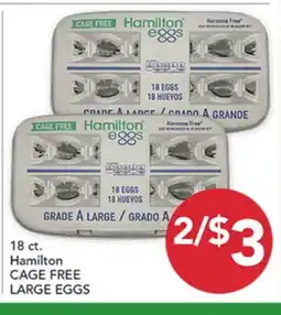 Pete's Fresh Market 18 ct. Hamilton CAGE FREE LARGE EGGS offer