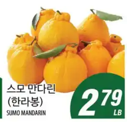 Joong Boo Market SUMO MANDARIN offer