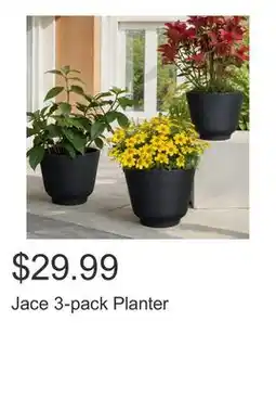 Costco Jace 3-pack Planter offer