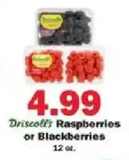 Schnucks Driscoll's Raspberries or Blackberries offer