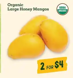 Sprouts Farmers Market Organic Large Honey Mangos offer