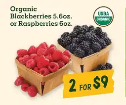 Sprouts Farmers Market Organic Blackberries 5.6oz. or Raspberries 6oz offer
