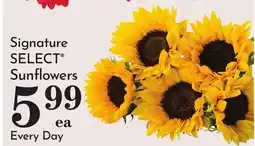Pavilions Signature SELECT Sunflowers offer