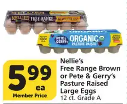 Albertsons Nellie's Free Range Brown or Pete & Gerry's Pasture Raised Large Eggs offer