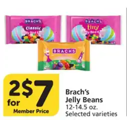 Albertsons Brach's Jelly Beans offer