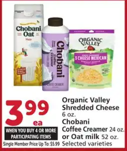 Albertsons Organic Valley Shredded Cheese 6 oz. Chobani Coffee Creamer 24 oz. or Oat milk 52 oz offer