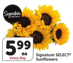 Albertsons Signature SELECT Sunflowers offer