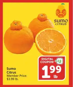 Albertsons Sumo Citrus offer