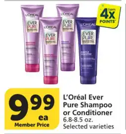 Albertsons L' Oréal Ever Pure Shampoo or Conditioner offer