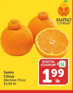 Vons Sumo Citrus offer