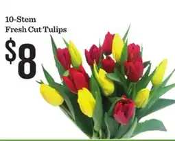 Mariano's 10-Stem Fresh Cut Tulips offer