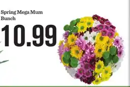 Mariano's Spring Mega Mum Bunch offer