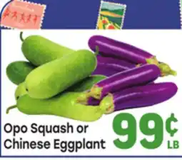 Tony’s Fresh Market Opo Squash or Chinese Eggplant offer