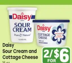 Tony’s Fresh Market Daisy Sour Cream and Cottage Cheese offer