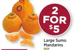 Heinen's Large Sumo Mandarins offer