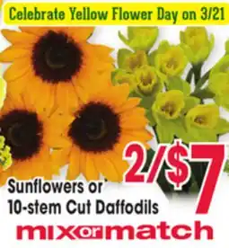 Jewel-Osco Sunflowers or 10-stem Cut Daffodils offer