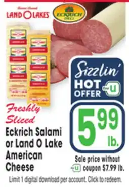 Jewel-Osco Eckrich Salami or Land O Lake American Cheese offer