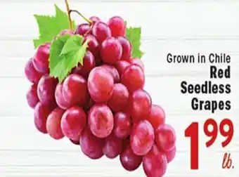 Rio Valley Market Red Seedless Grapes offer