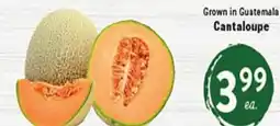 Rio Valley Market Cantaloupe offer