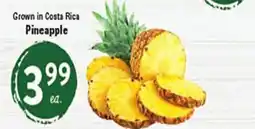 Rio Valley Market Pineapple offer