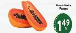 Rio Valley Market Papaya offer