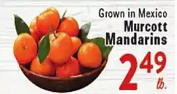 Rio Valley Market Murcott Mandarins offer