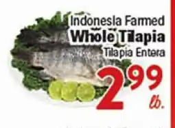 Rio Valley Market Indonesia Farmed Whole Tilapia offer