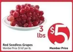 Safeway Red Seedless Grapes offer