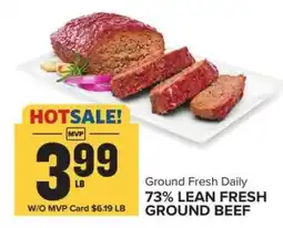 Food Lion 73% Lean Fresh Ground Beef offer