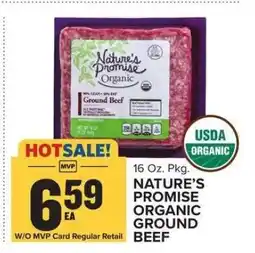 Food Lion Nature's Promise Organic Ground Beef offer