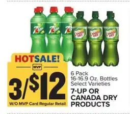 Food Lion 7-UP or Canada Dry Products offer