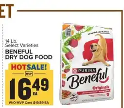 Food Lion Beneful Dry Dog Food offer