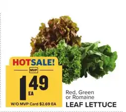 Food Lion Leaf Lettuce offer