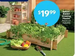 Aldi Belavi Raised Growing Planter offer