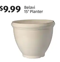 Aldi Belavi 15 Planter offer
