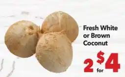 Vallarta Supermarkets Fresh White or Brown Coconut offer