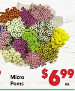 Vallarta Supermarkets Micro Poms offer