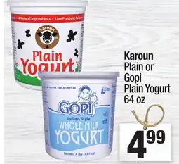 Super King Markets Karoun Plain or Gopi Plain Yogurt offer