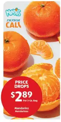 Aldi Mandarins offer