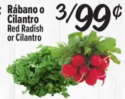 El Super Red Radish or Cilantro offer