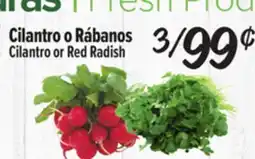 El Super Fresh Cilantro or Red Radish offer