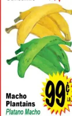 Superior Grocers Macho Plantains offer