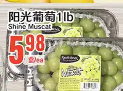Great Wall Supermarket Shine Muscat offer
