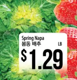 Hmart Spring Napa offer