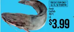 Hmart Fresh Catfish offer