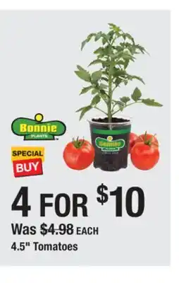 The Home Depot BONNIE 4.5 Tomatoes offer