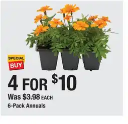 The Home Depot 6-Pack Annuals offer