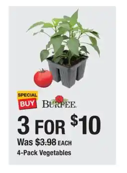 The Home Depot BURPEE 4-Pack Vegetables offer